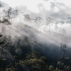 Sari Sari Falls - Calibishie