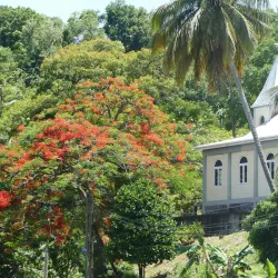 Toucari Bay - Calibishie
