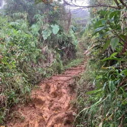 Boiling Lake - Fond St. Jean