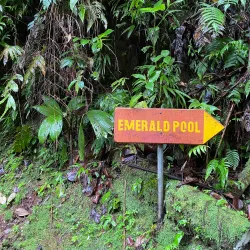 Emerald Pool - Fond St. Jean