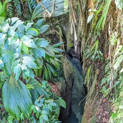 Morne Trois Pitons National Park - Fond St. Jean