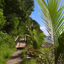 Champagne Reef - Pointe Michel