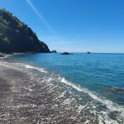 Champagne Reef - Pointe Michel