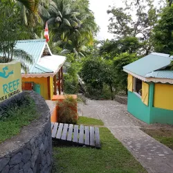 Champagne Reef - Pointe Michel