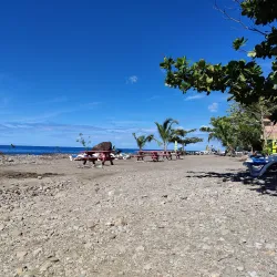 Champagne Reef - Pointe Michel