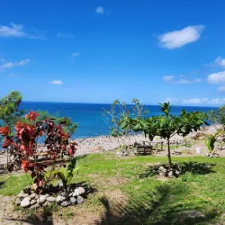 Champagne Reef - Pointe Michel