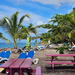 Champagne Reef - Pointe Michel