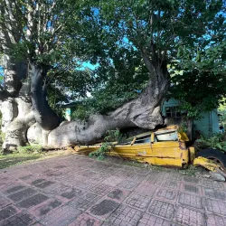 Dominica Botanic Gardens - Pointe Michel
