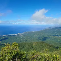 Morne Anglais Trail - Pointe Michel