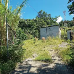 Morne Anglais Trail - Pointe Michel