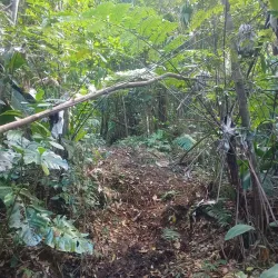 Morne Anglais Trail - Pointe Michel