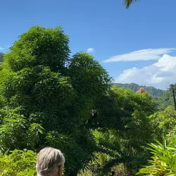 Wotten Waven Hot Springs - Pointe Michel