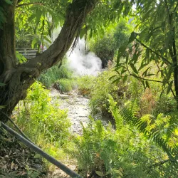 Wotten Waven Hot Springs - Pointe Michel