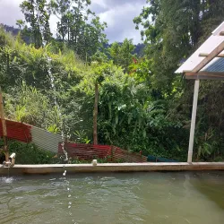 Wotten Waven Hot Springs - Pointe Michel