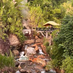 Wotten Waven Hot Springs - Pointe Michel