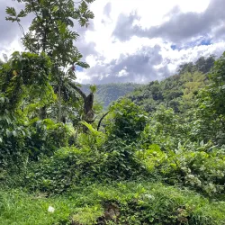 Wotten Waven Hot Springs - Pointe Michel