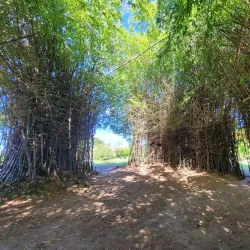 Botanical Gardens - Portsmouth