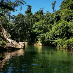 Indian River - Portsmouth