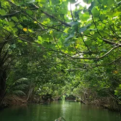 Indian River - Portsmouth