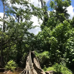 Indian River - Portsmouth