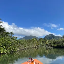 Indian River - Portsmouth