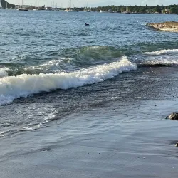 Prince Rupert Bay - Portsmouth