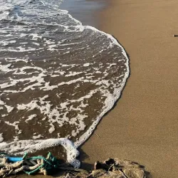 Prince Rupert Bay - Portsmouth