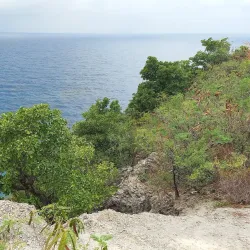 Scotts Head Marine Reserve - Portsmouth