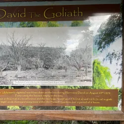 Botanical Gardens and Zoo - Roseau