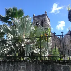 Cathédrale Notre-Dame de l'Assomption - Roseau