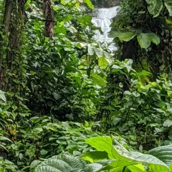 Trafalgar Falls - Roseau