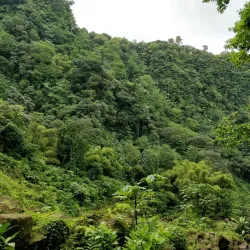 Trafalgar Falls - Roseau