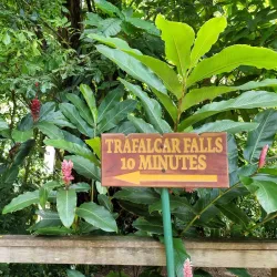 Trafalgar Falls - Roseau