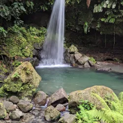 Emerald Pool - Salisbury