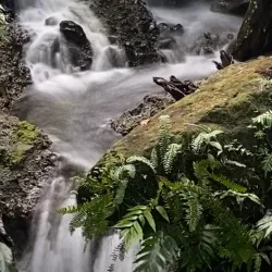 Emerald Pool - Salisbury