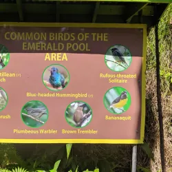 Emerald Pool - Salisbury