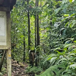 Middleham Falls - Salisbury