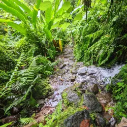 Middleham Falls - Salisbury