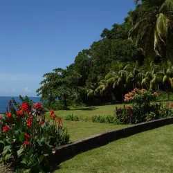 Scotts Head Marine Reserve - Salisbury