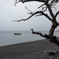 Scotts Head Marine Reserve - Salisbury