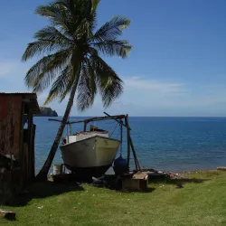Scotts Head Marine Reserve - Salisbury