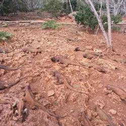 Cuevas de las Maravillas - Azua