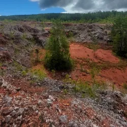 Parque Nacional Sierra de Bahoruco - Azua