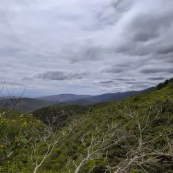 Parque Nacional Sierra de Bahoruco - Azua