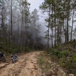 Parque Nacional Sierra de Bahoruco - Azua