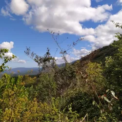Parque Nacional Sierra de Bahoruco - Azua