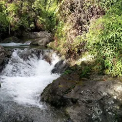 Reserva Científica Ebano Verde - Azua
