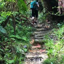 Reserva Científica Ebano Verde - Azua