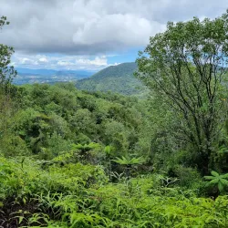 Reserva Científica Ebano Verde - Azua