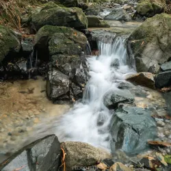 Reserva Científica Ebano Verde - Azua